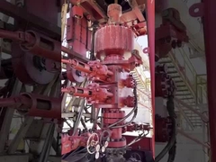 প্রতিষ্ঠান